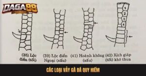 Khám phá các loại vảy gà quý cùng DAGA88