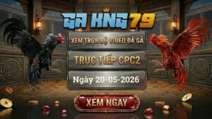 Xem Full Clip Đá Gà Bồ CPC2 Ngày 20/05/2026