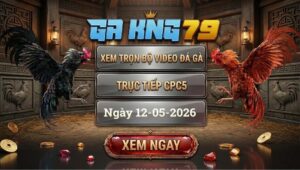 Xem Full Clip Đá Gà Bồ CPC5 Ngày 12/05/2026