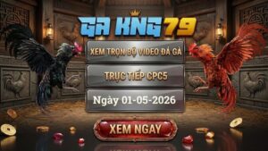 Xem Full Clip Đá Gà CPC5 Ngày 01/05/2026
