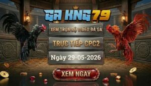 Xem Full Video Đá Gà CPC2 29/5/2026