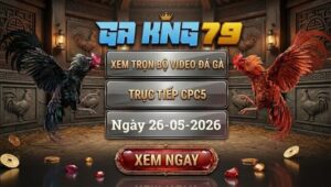 Xem Full Video Đá Gà CPC5 26/5/2026