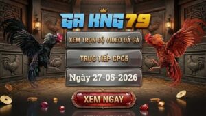 Xem Full Video Đá Gà CPC5 27/5/2026
