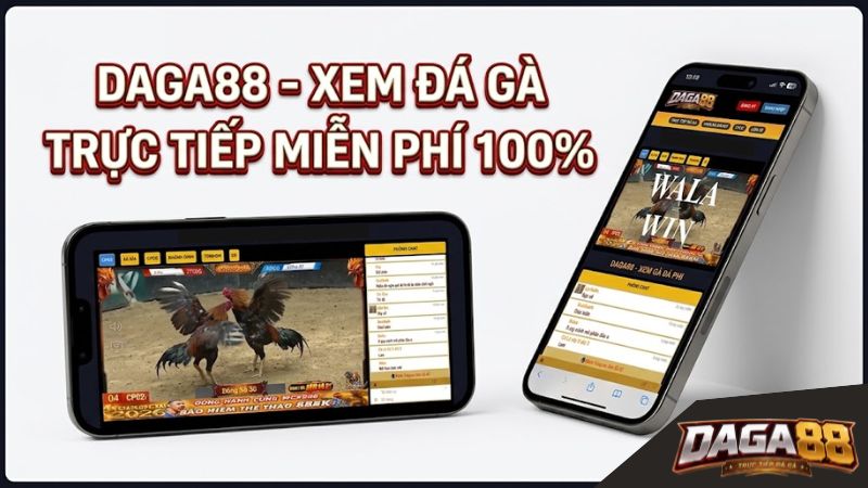 DAGA88 - Xem Đá Gà Trực Tiếp Miễn Phí 100%