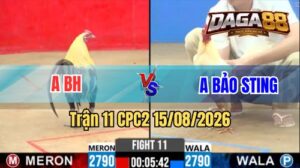 Trận 11 CPC2 Ngày 12/08/2026 trên DAGA88
