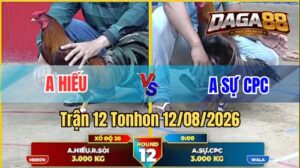Trận 12 Tonhon Ngày 12/08/2026 trên DAGA88