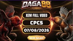 Xem Full Clip Đá Gà CPC5 Ngày 07/08/2026 Tại DAGA88