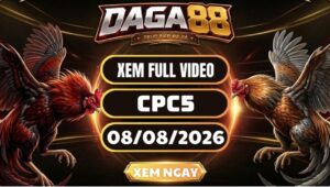 Xem Full Clip Đá Gà CPC5 Ngày 08/08/2026 Tại DAGA88