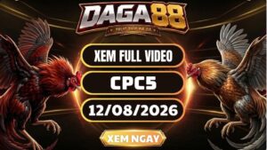 Xem Full Clip Đá Gà CPC5 Ngày 12/08/2026 Tại DAGA88