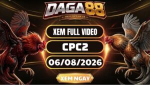 Xem Full Video Đá Gà CPC2 Ngày 06/08/2026 Tại DAGA88