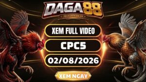 Xem Full Video Đá Gà CPC5 Ngày 02/08/2026 Tại DAGA88
