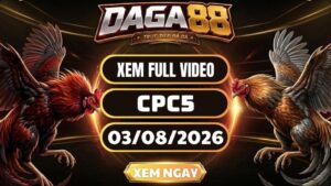 Xem Full Video Đá Gà CPC5 Ngày 03/08/2026 Tại DAGA88