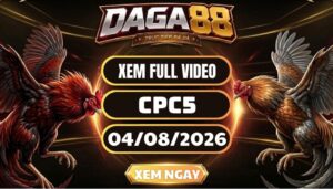 Xem Full Video Đá Gà CPC5 Ngày 04/08/2026 Tại DAGA88